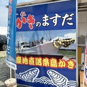 福吉漁港(糸島)の牡蠣小屋「かきのますだ」2023秋シーズン～来店特典多数＆調味料も多数完備されています！[ガス火焼]